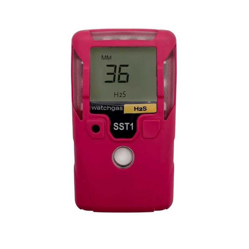 Wearable Single Gas Detector 2 And 3 Years